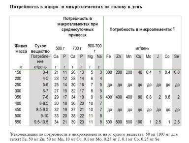 Минеральный корм в рационе коров и ремонтного молодняка