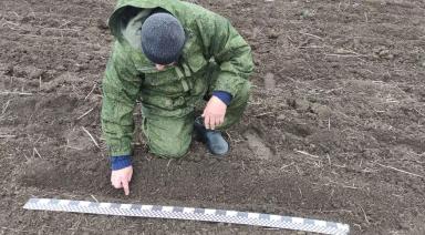 ТВЕРДАЯ ЯРОВАЯ ПШЕНИЦА «ШАГАЕТ» ПО СТРАНЕ