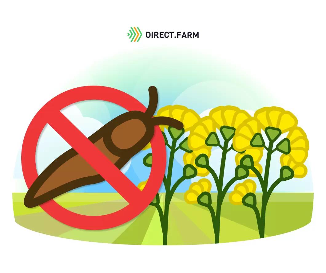 Как бороться со слизнями?