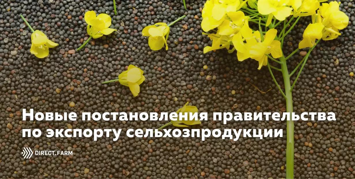 Новые постановления марта: запрет на экспорт рапса и сахара
