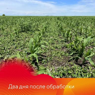Фултайм® в Приморье