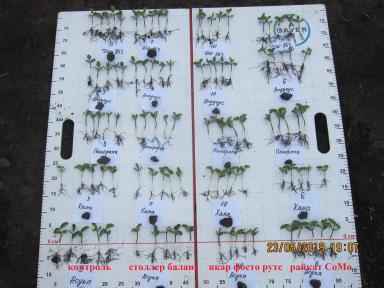 стимуляторы семян сои