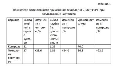 Нужна ли картофелю подкормка кальцием, магнием и серой?