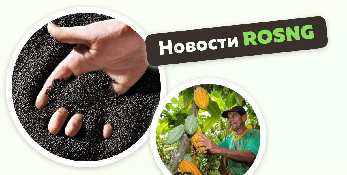 Обзор новостей за 7 мая