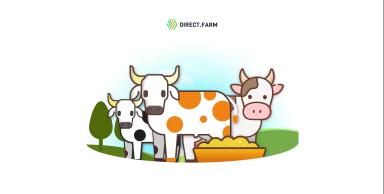 Нормы кормления мясного скота