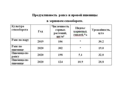 Схема севооборота яровой пшеницы