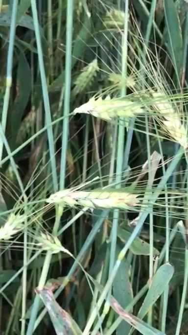 Вопросы из чатов: будут ли потери?