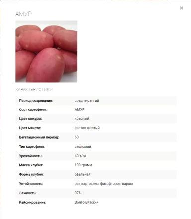 Амур