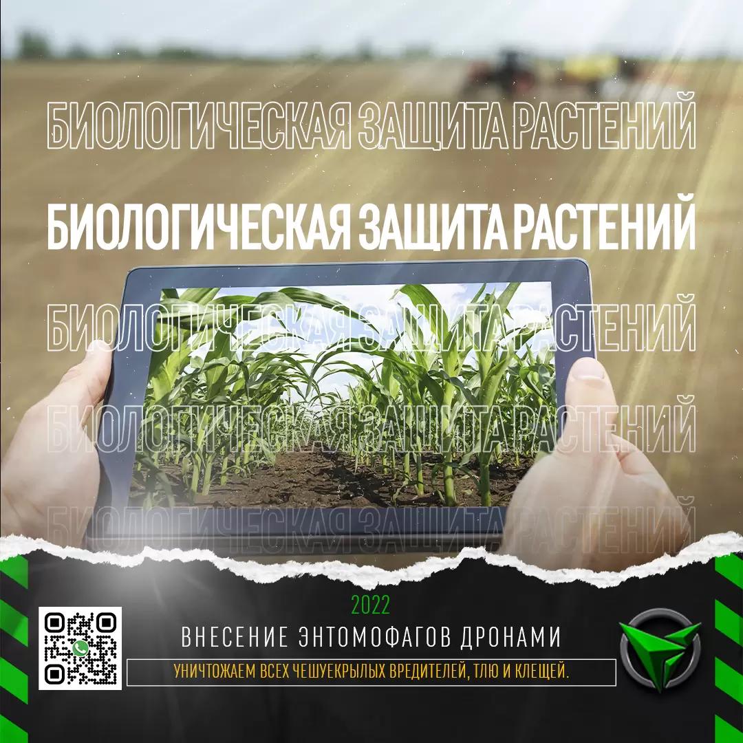Биологическая защита растений от вредителей