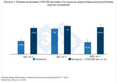 Роль витаминов в иммунном ответе поросят: новые исследования