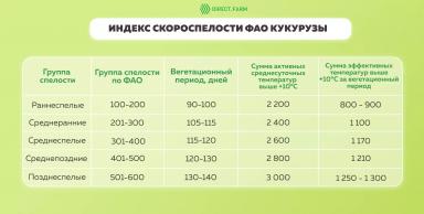 Алгоритм выбора гибрида кукурузы