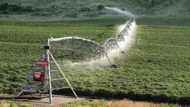 ДОЖДЕВАЛЬНЫЕ МАШИНЫ ТИПА "ПИВОТ": отзывы и рекомендации...