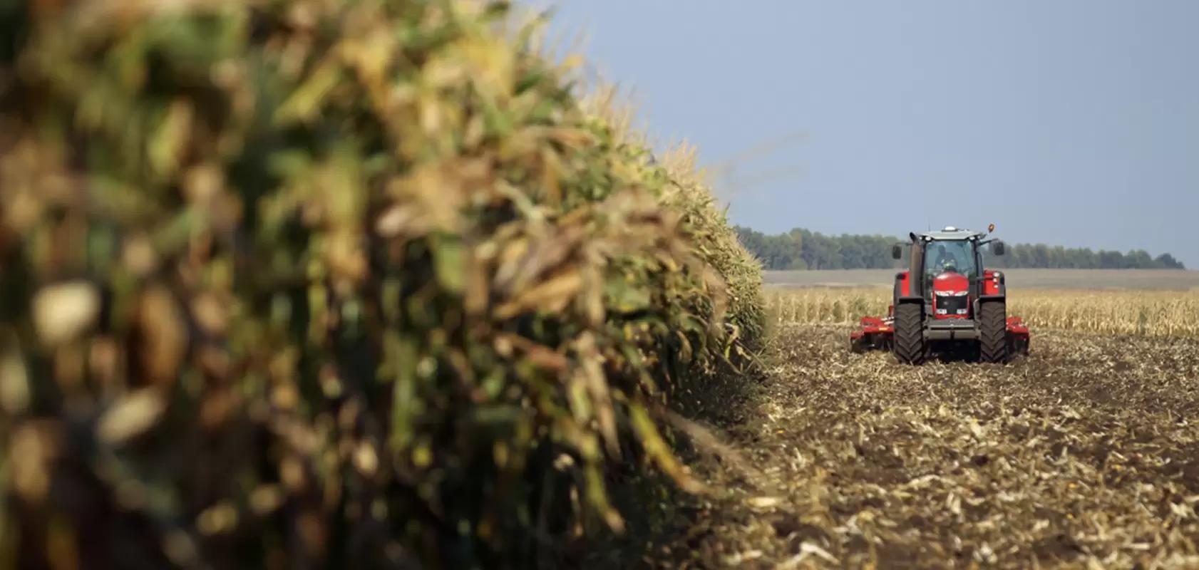 Для аграриев введены новые меры поддержки