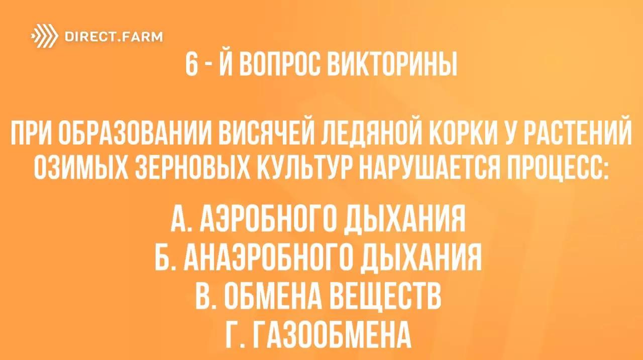 6 -й вопрос "Викторины для знатоков"!🎯