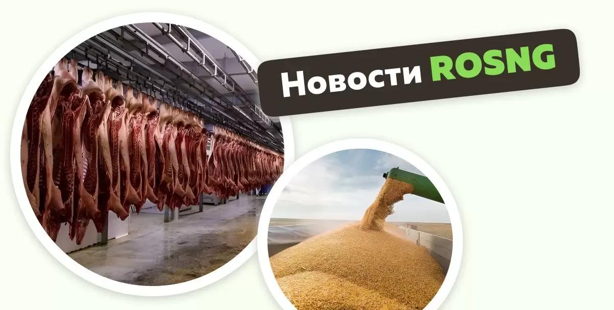 Обзор новостей за 1 ноября