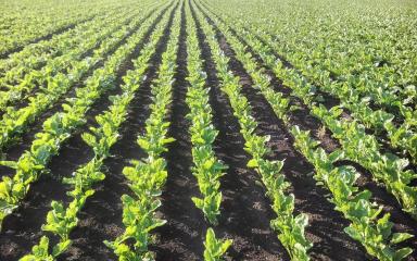 Агромониторинг 