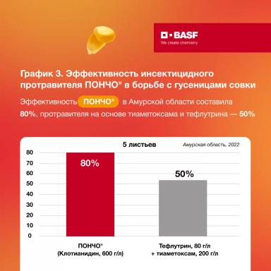 Защита кукурузы от совки на ранних фазах развития