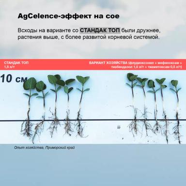 Соевый агрокалендарь