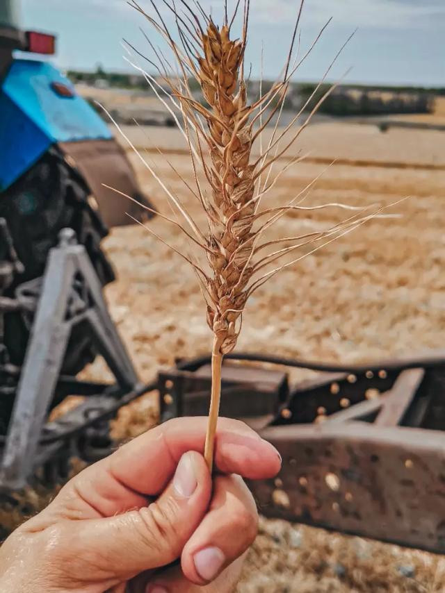 Все ждали, но не дождались. Цена все по 7 рублей.