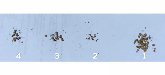 Эффективность обработки семян сои микробиологическим комплексом препаратов BIONA