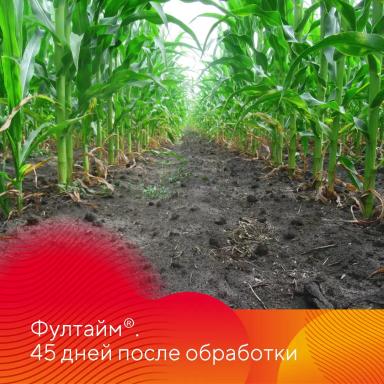 Работает Фултайм®!