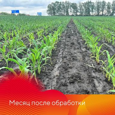 Работает Фултайм®
