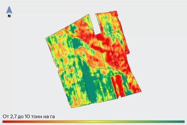 Дифвнесение удобрений на озимой пшенице: стоит пробовать?