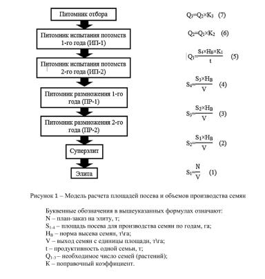 Расчет посевной площади по плану-заказу на семена элиты