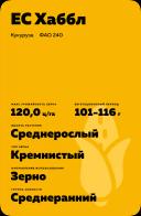 ЕС Хаббл (ES HUBBLE) гибрид кукурузы