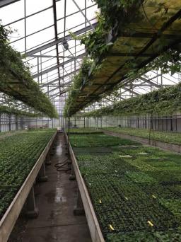 Комментарий для телевидения