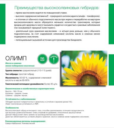 Олимп гибрид подсолнечника