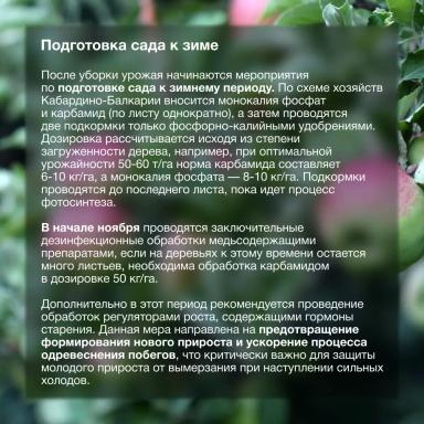 Эффективная забота о саде