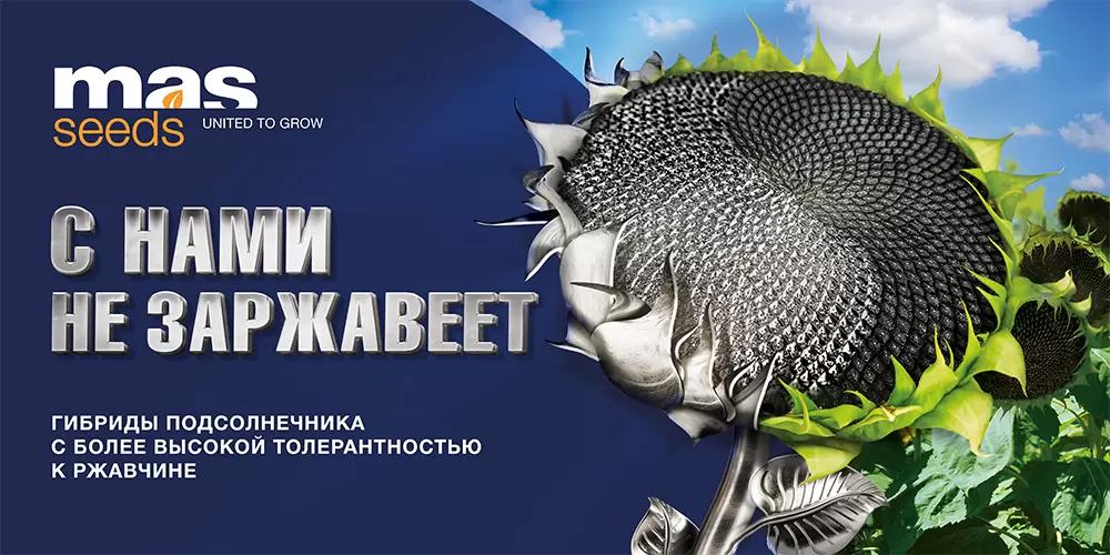 Ржавчина на подсолнечнике? Решение есть!