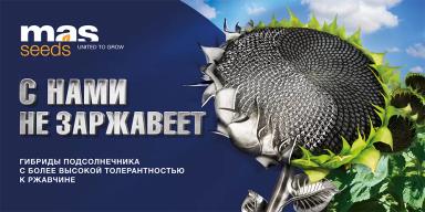 Ржавчина на подсолнечнике? Решение есть!