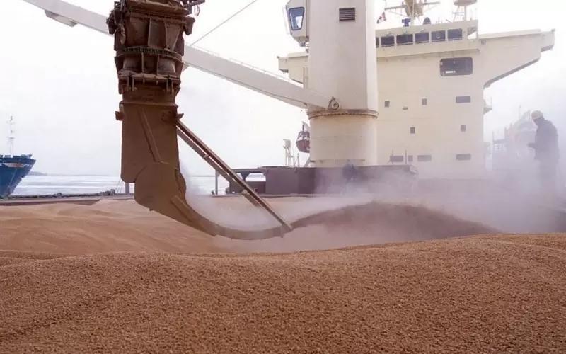 Агрохолдинг «Доставка Морем» вошел в ТОП-5 экспортеров кукурузы в России