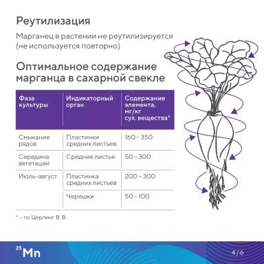 Элементарно об элементах: марганец