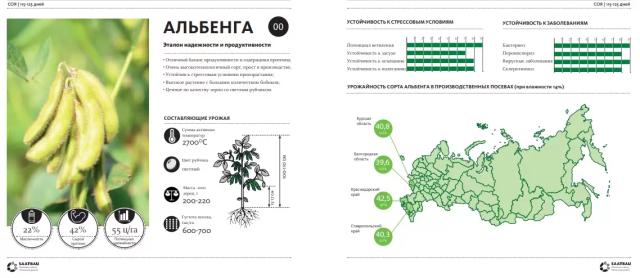 Альбенга (ALBENGA) сорт сои