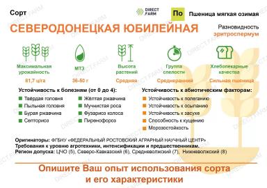 Северодонецкая юбилейная сорт мягкой озимой пшеницы
