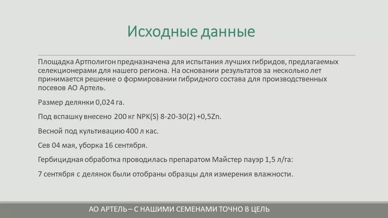 Результаты испытания гибридов кукурузы на площадке АртПолигон