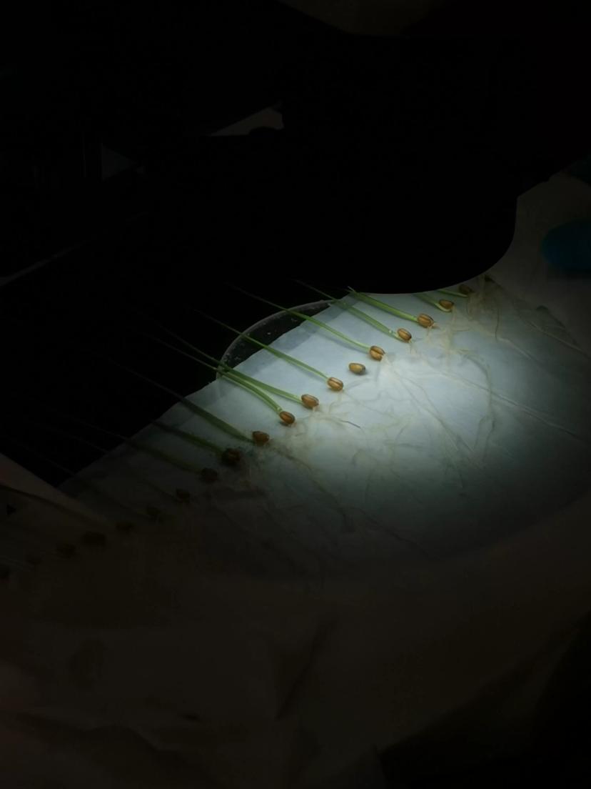 Хочу поделиться эстетикой прохождения моей преддипломной практики в