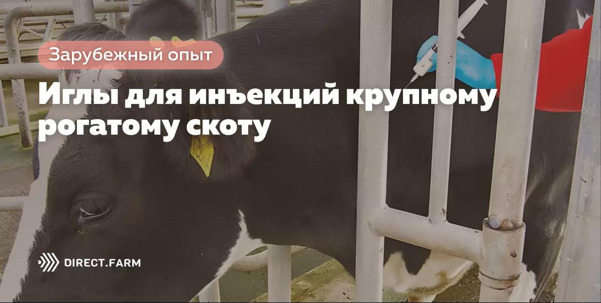 Иглы для инъекций крупному рогатому скоту