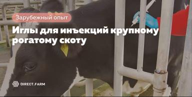 Иглы для инъекций крупному рогатому скоту