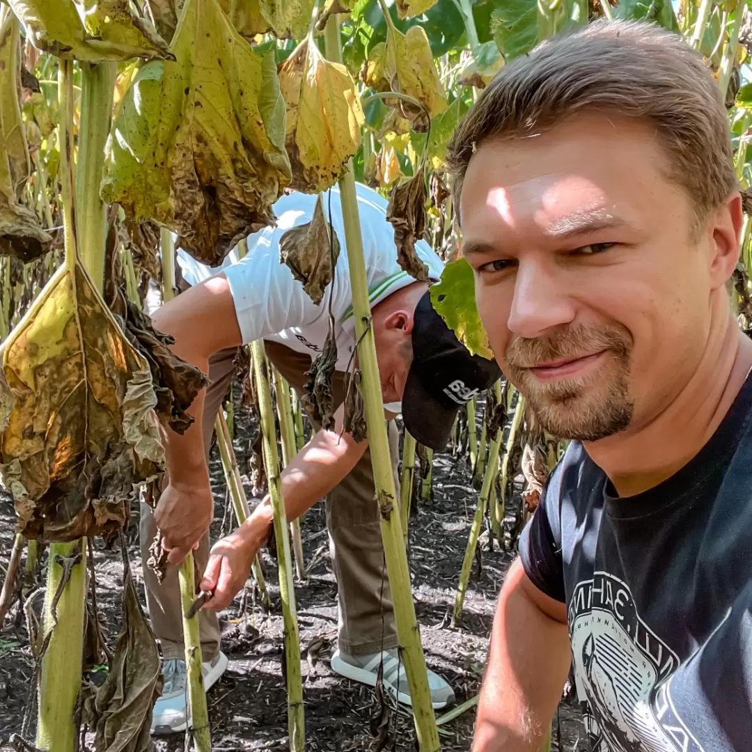 ЛАЙФХАКИ ПО ВЫРАЩИВАНИЮ ПОДСОЛНЕЧНИКА