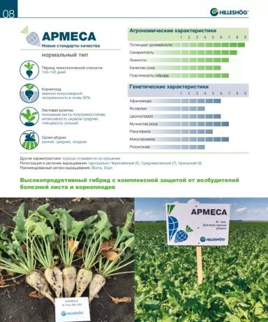 Армеса (ARMESA)