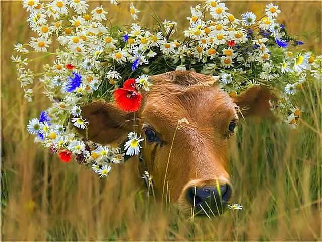 Доля ТОП-100 производителей молока на российском рынке