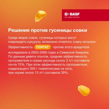 Защита кукурузы от совки на ранних фазах развития