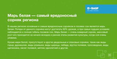 Европейская часть России — новый центр производства сои