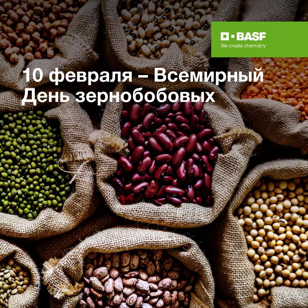 Всемирный День зернобобовых