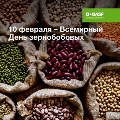 Всемирный День зернобобовых