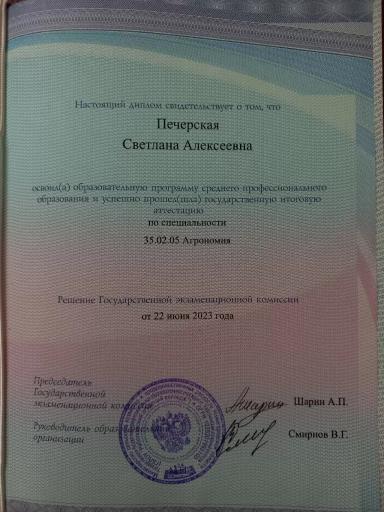 Резюме: Девушка, 20 лет